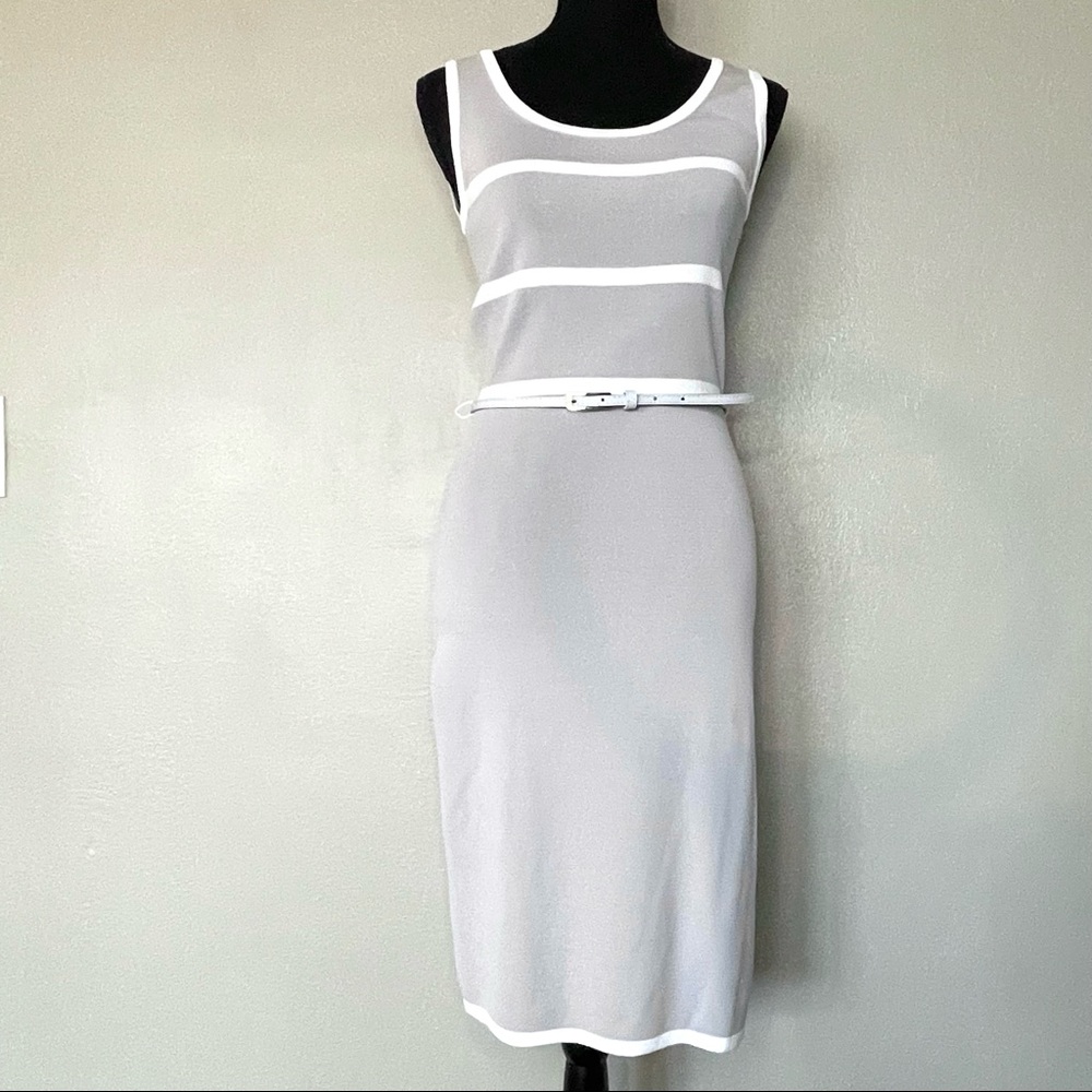 CARMEN Marc Valvo | Gray White Striped Sleeveless Sheath Dress ~Small